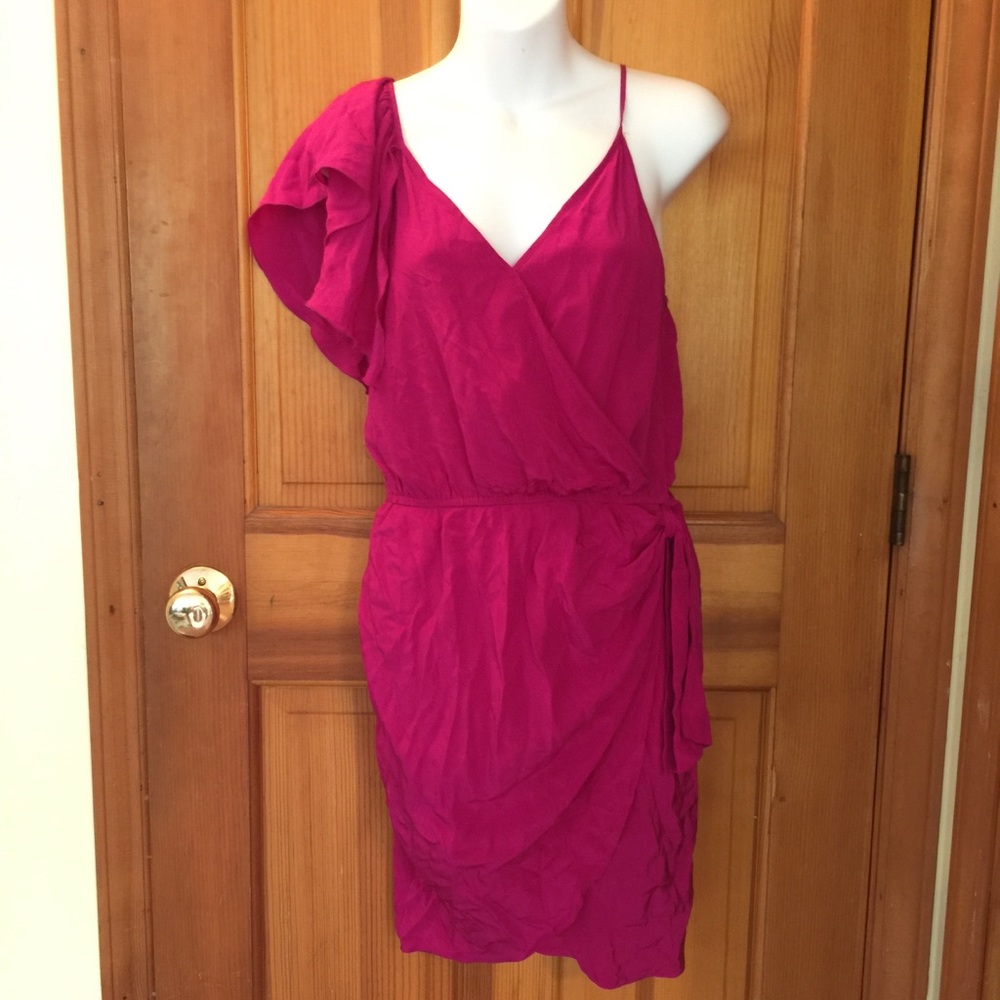 Charlie Jade Silk Fuscia Pink Dress Small